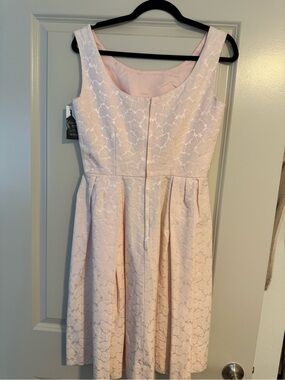 Sleeveless Pink Lace Fit & Flare Dress